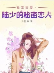 陆少的秘密恋人简介