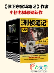 侯大利刑侦笔记宁凌结局